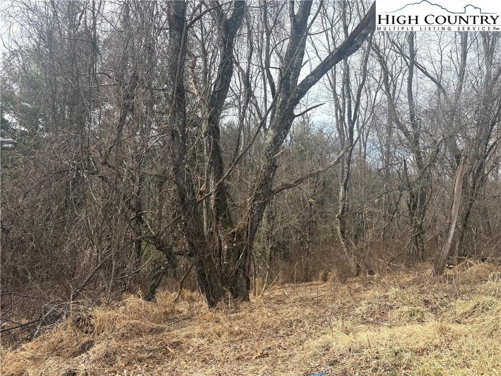 Residential Lot in Alleghany Manor