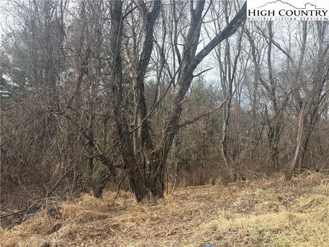 Residential Lot in Alleghany Manor