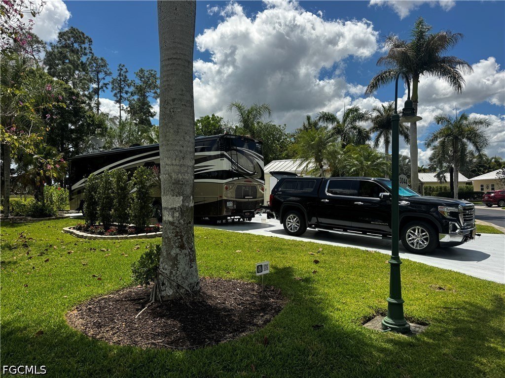 Picture 5