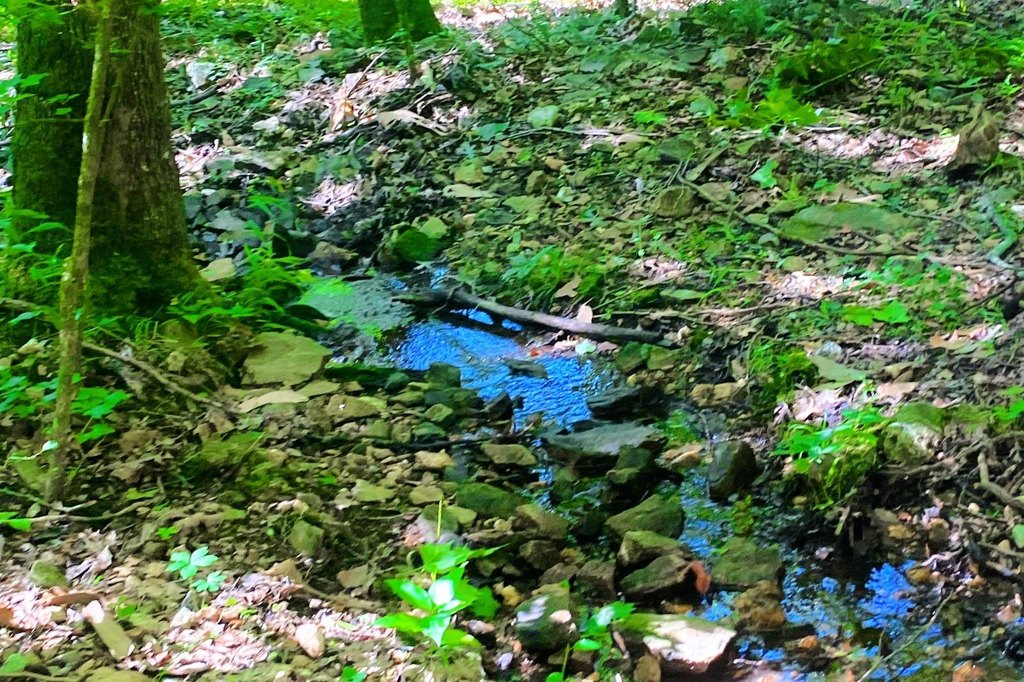 Picture 6