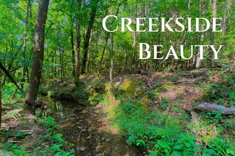 Unrestricted Creekfront Land