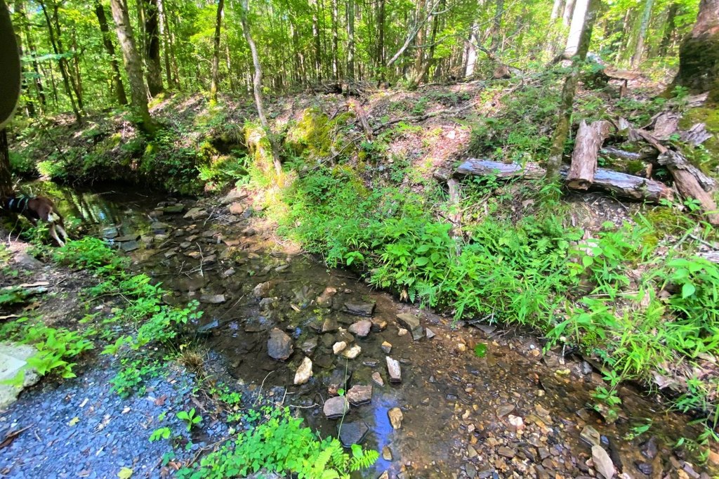 Picture 11