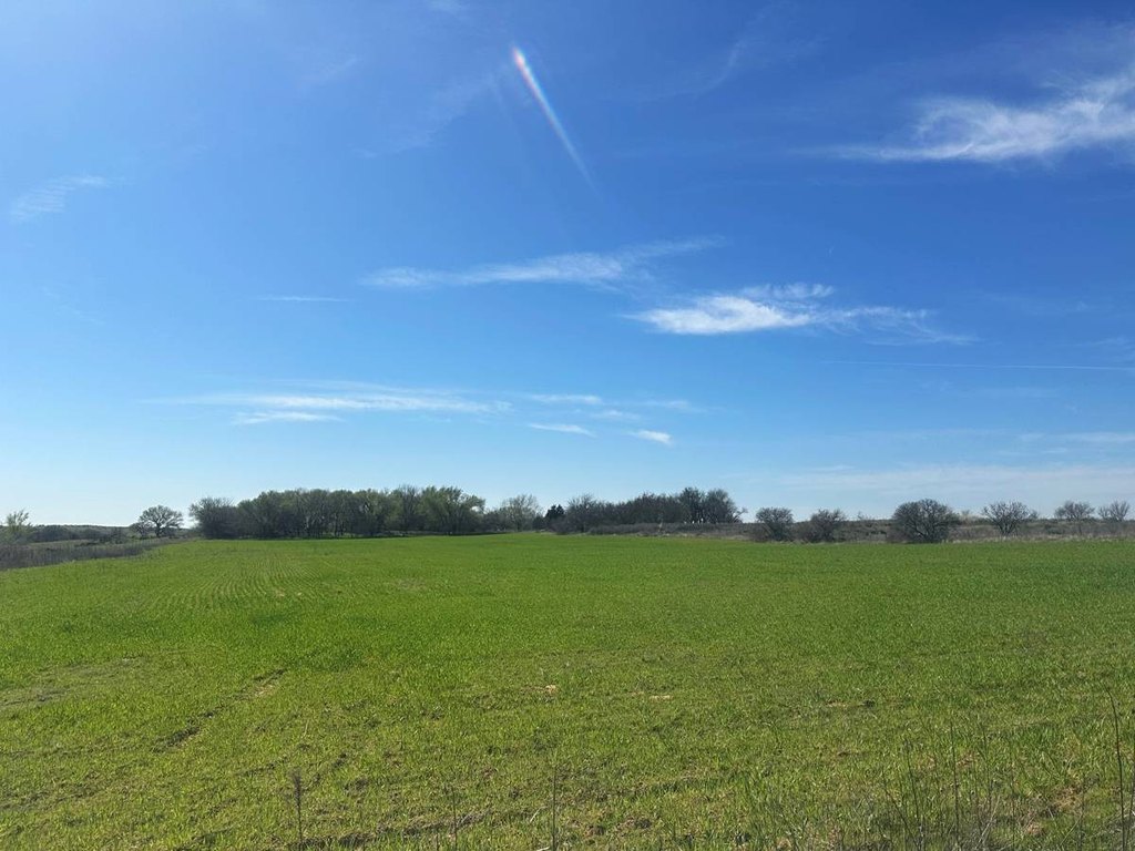 Picture 30