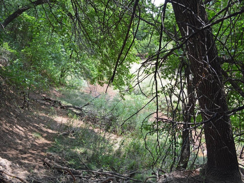 Picture 11