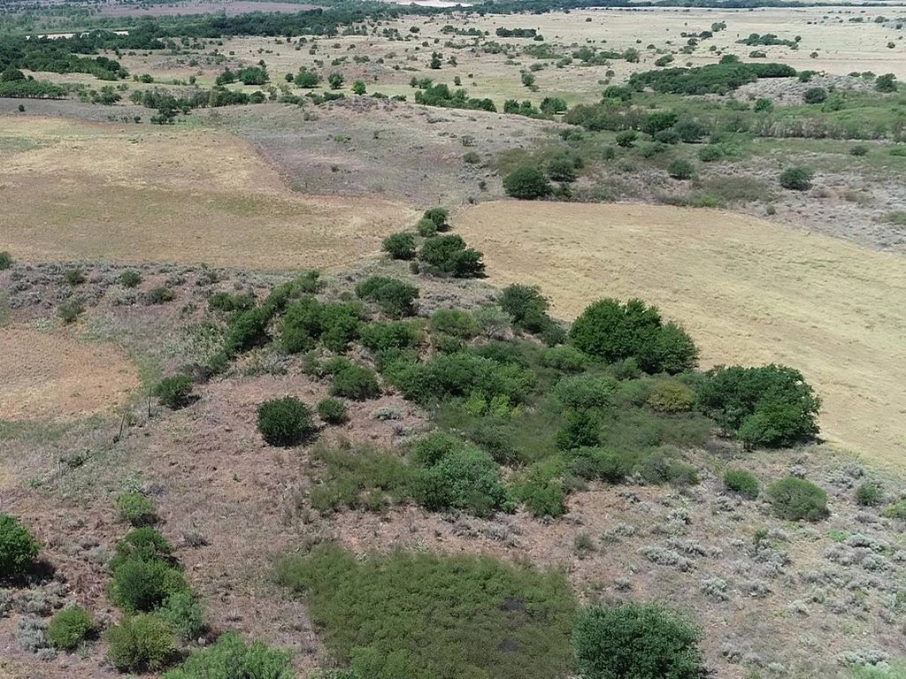 Picture 24