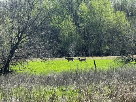 Hunting and Farmland Tract