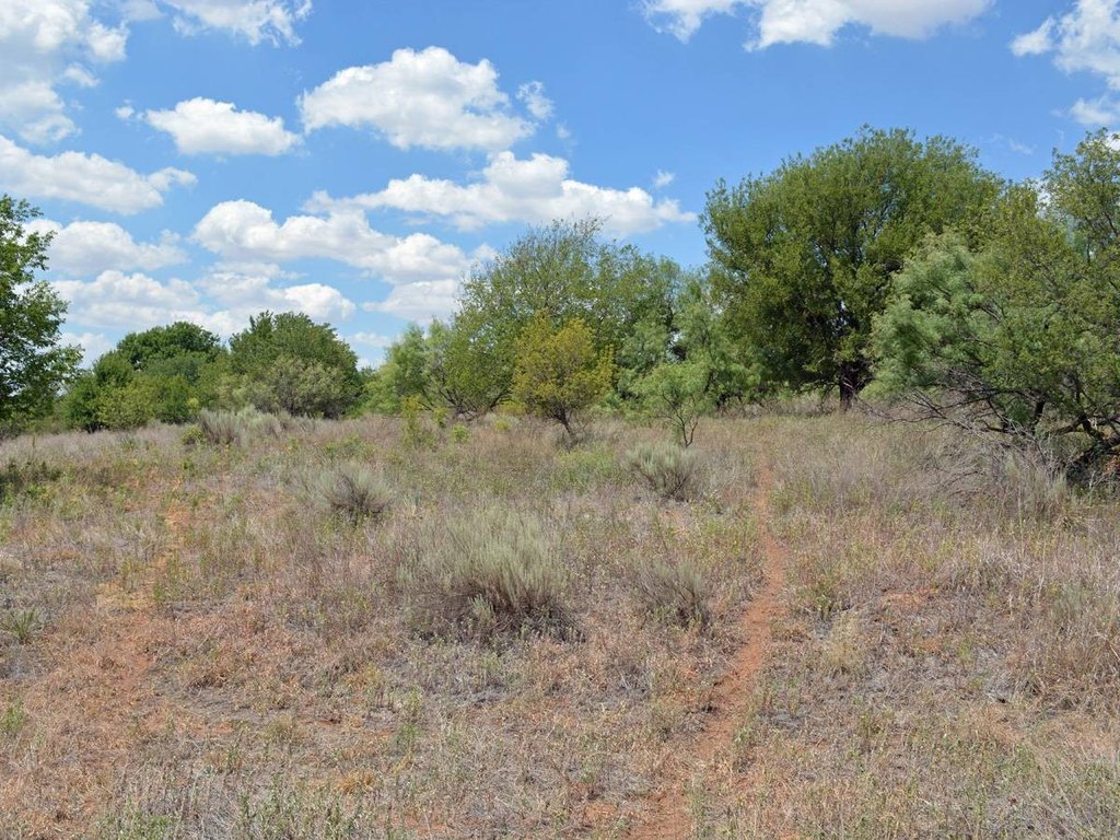 Picture 13
