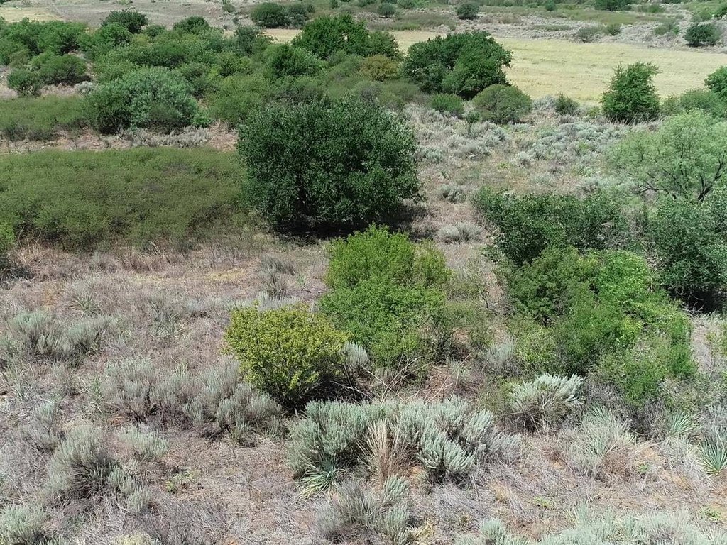Picture 25