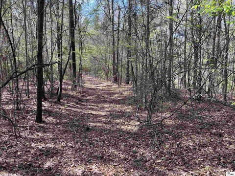 Hunting Land Acreage