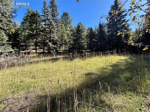 35 Acres in Conifer, Colorado