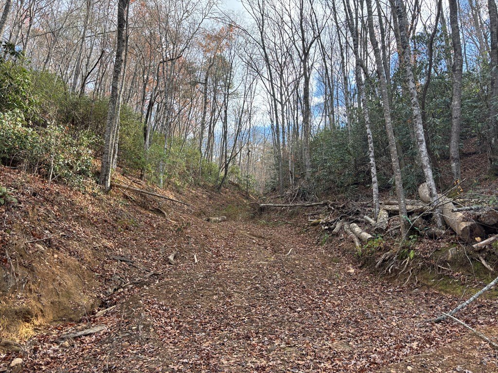 Picture 18