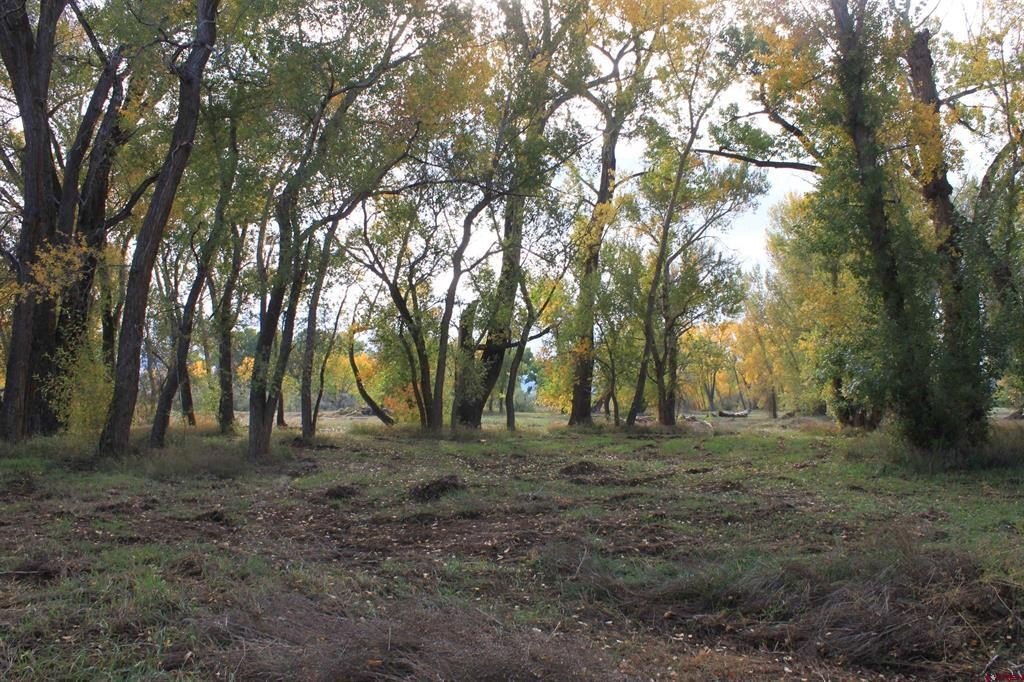 Picture 18