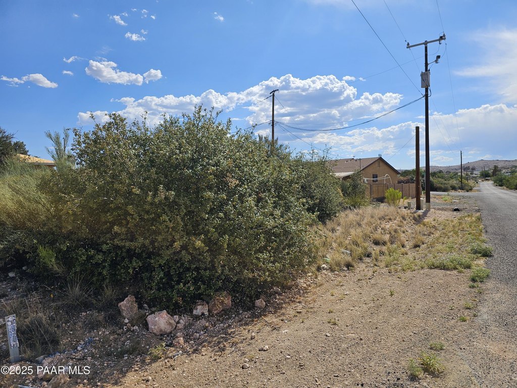 Picture 5