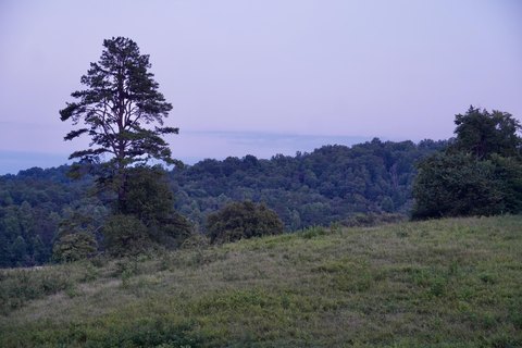 Hunting Land with Creek and Pasture