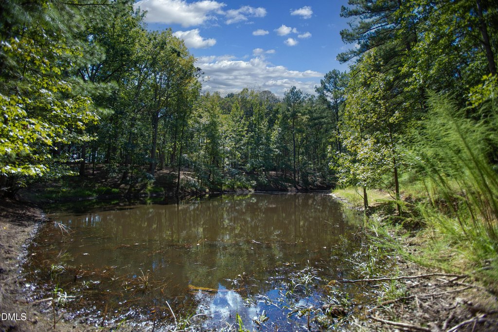 Picture 30