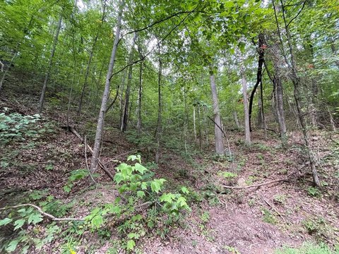 Sevierville, TN Wooded Lot