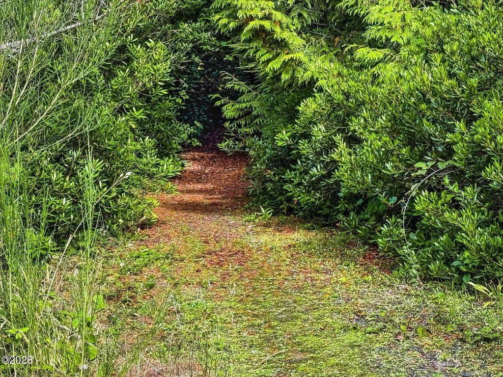 Picture 23