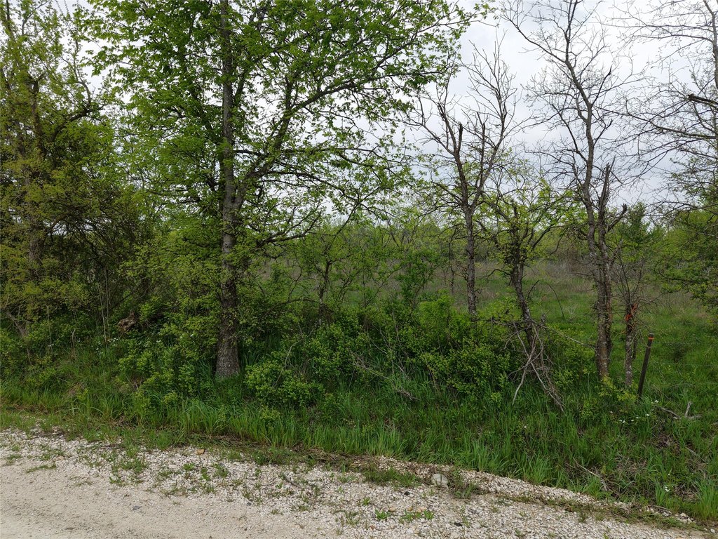Picture 3