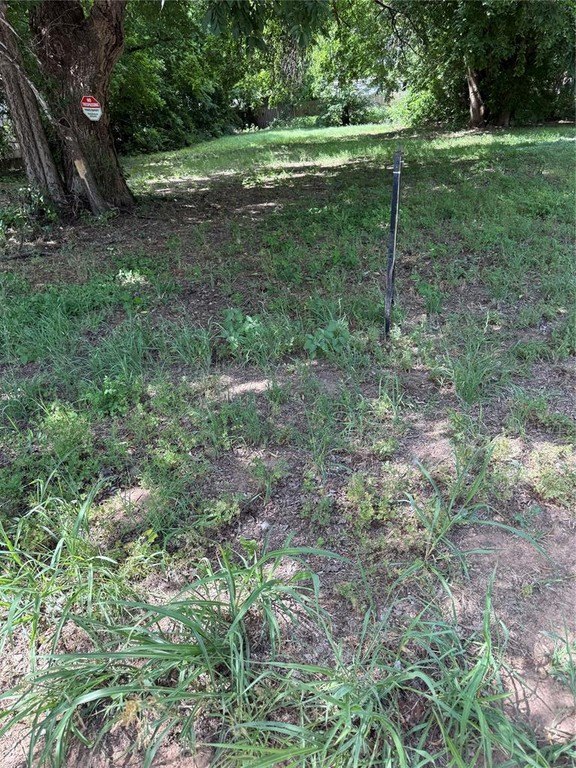 Picture 3