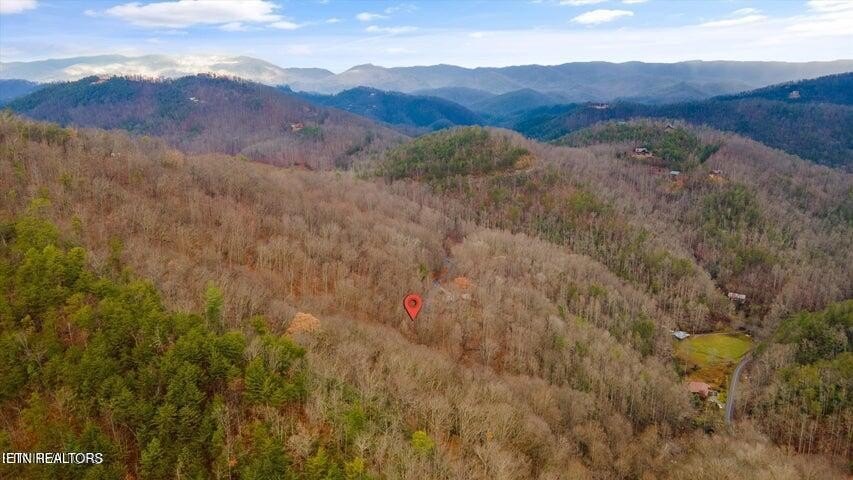 Sprawling Lot in Wears Valley