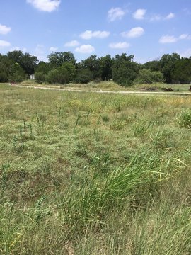 Land, Horseshoe Bay, TX
