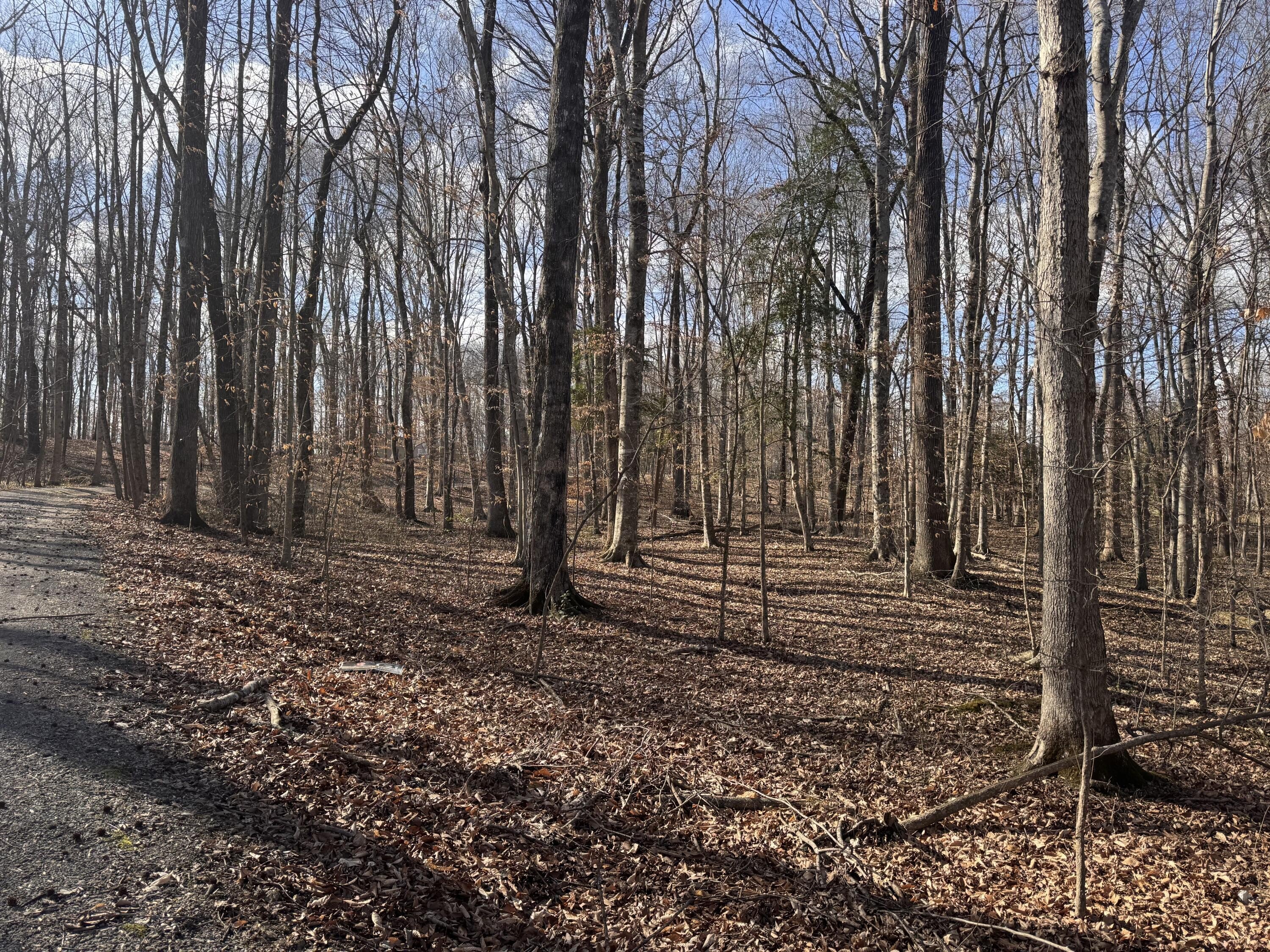 Residential Land Near Boat Ramp