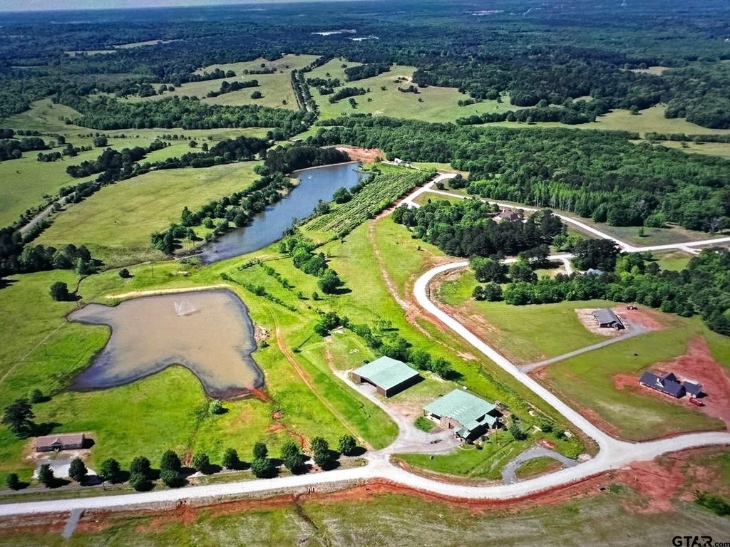 Picture 11