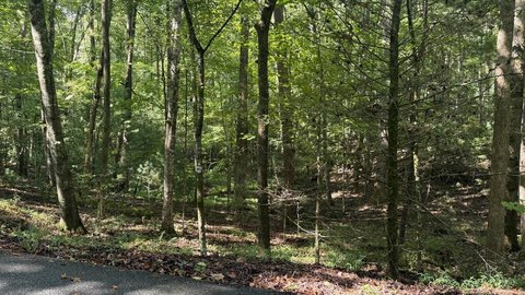 Vacant Lot, Blue Ridge, GA
