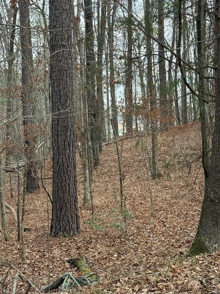 Lake Sinclair Access Lot