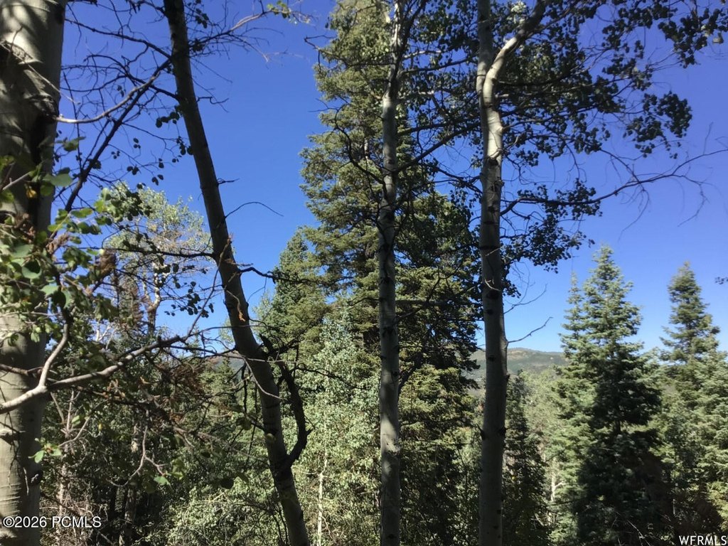 Picture 24