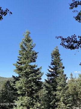 LAND - Coalville, UT