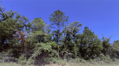Land, BRONSON, FL