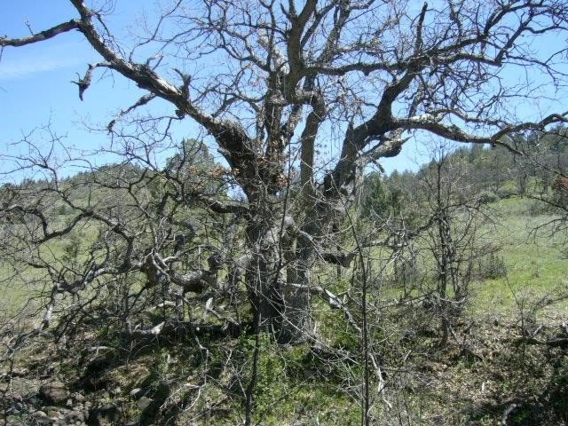 Picture 13