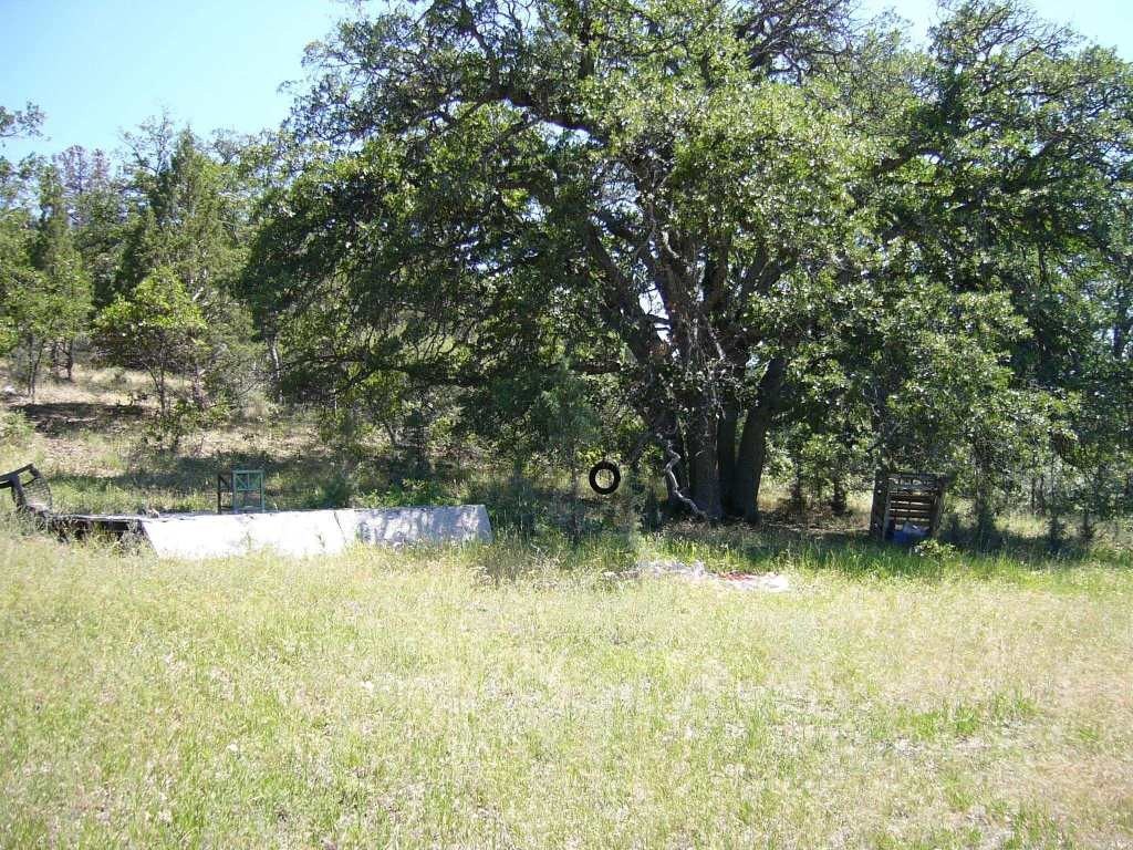 Picture 7