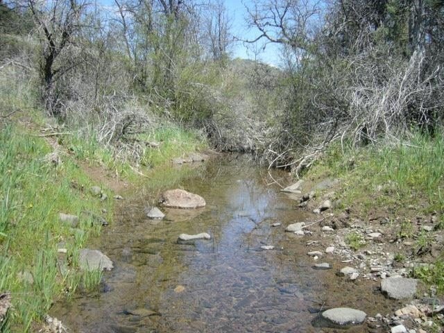Picture 16