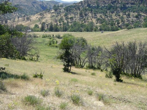 Farmland with Seasonal Creek
