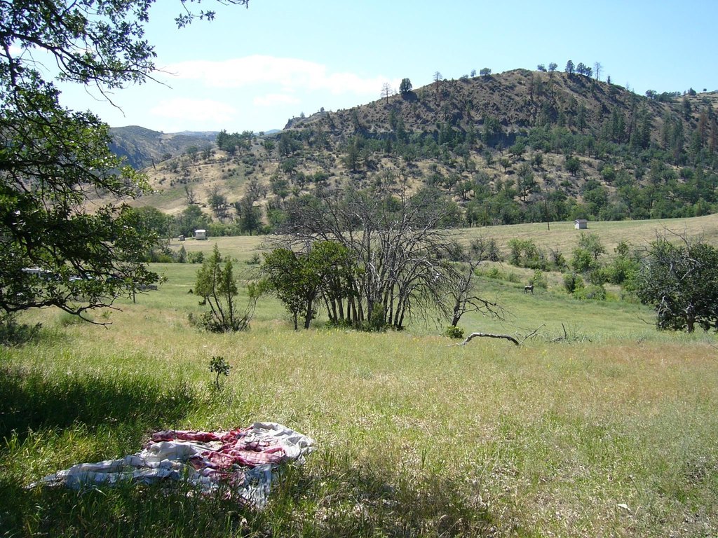 Picture 5