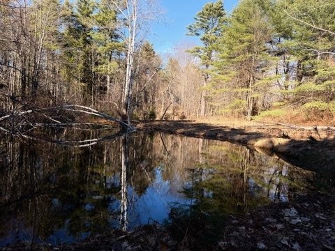 Belmont Land with Pond