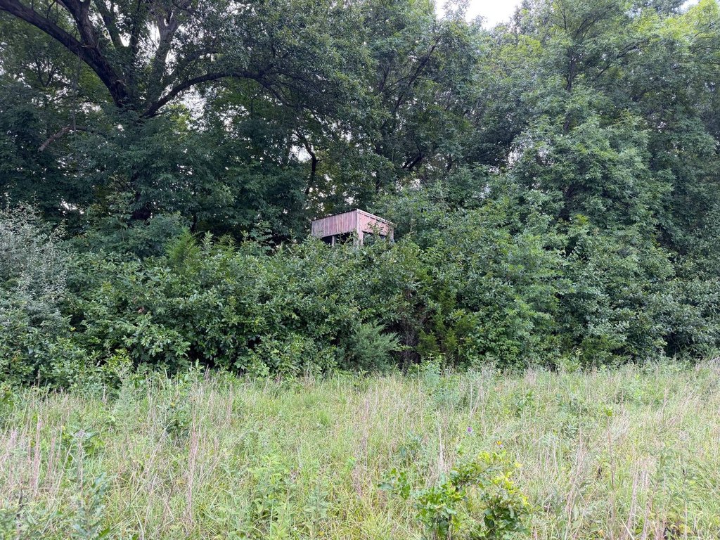Picture 23