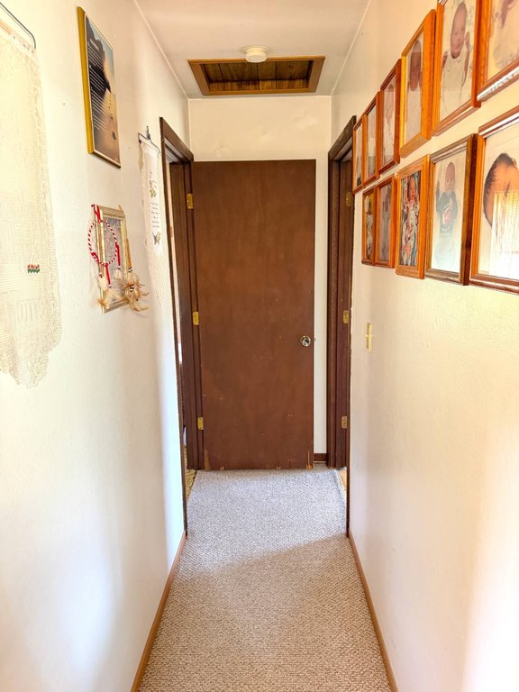 Picture 44