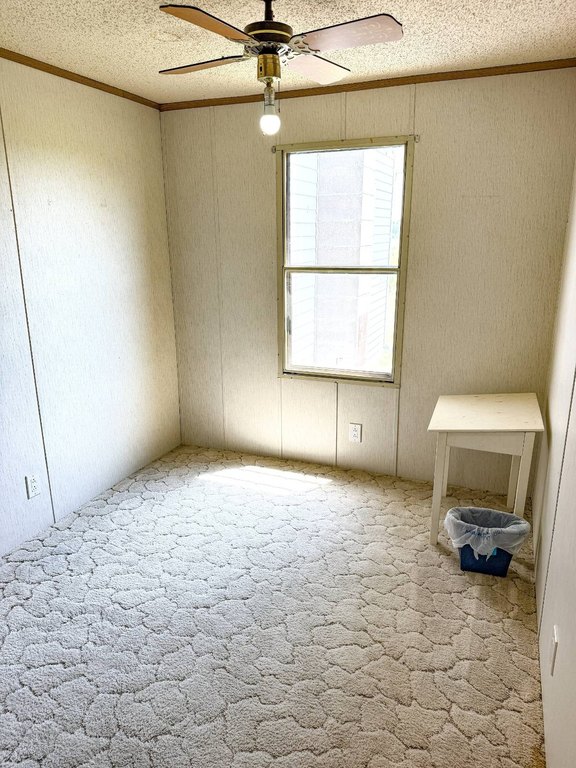 Picture 34