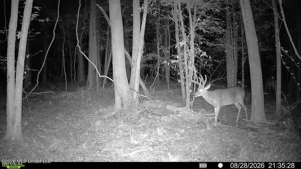 Picture 97