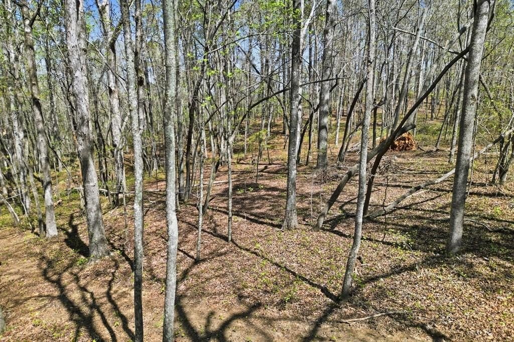 Homesite in Ball Ground, Georgia