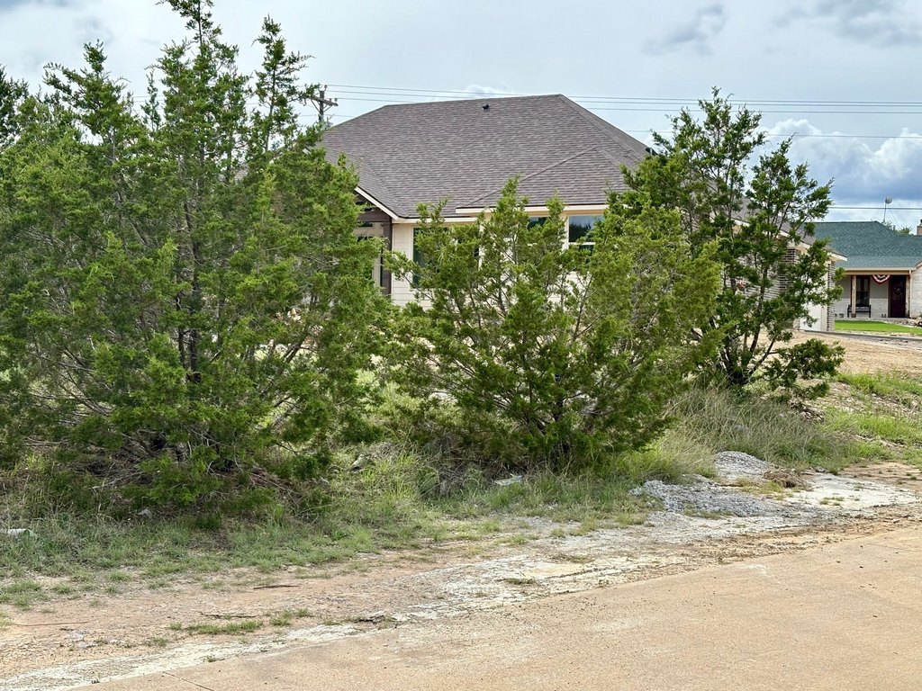 Picture 24