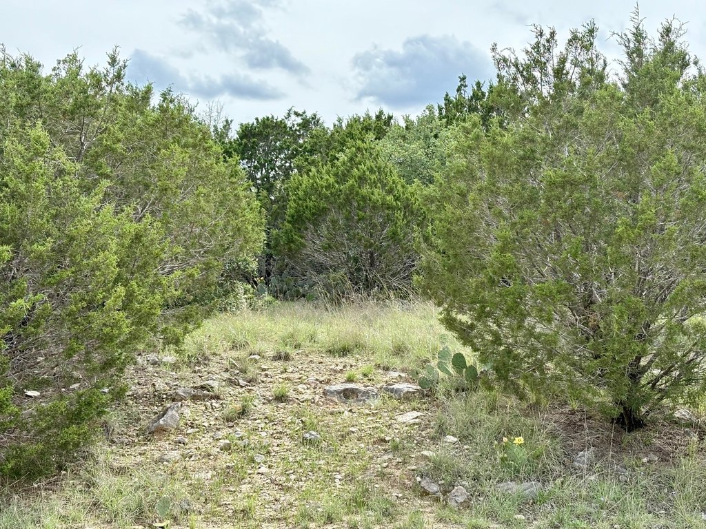 Picture 29