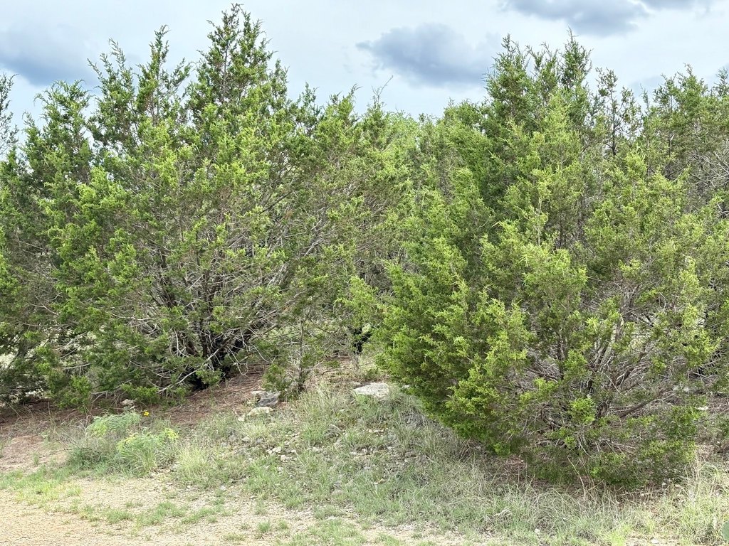 Picture 27