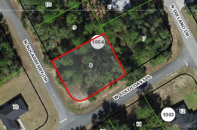 Citrus Springs Buildable Corner Lot