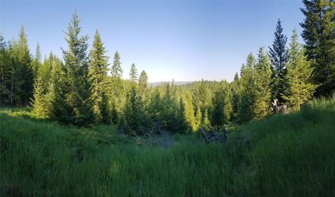LAND - Kalispell, MT