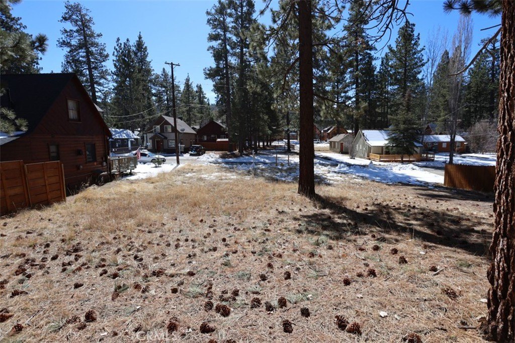 Picture 5