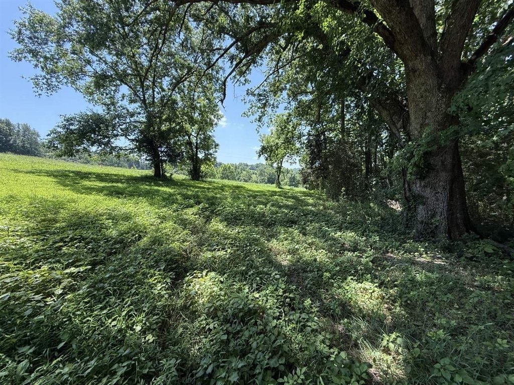 Picture 4